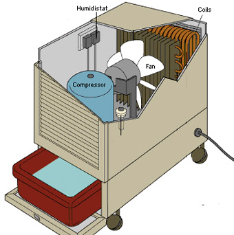 fan compressor and coils